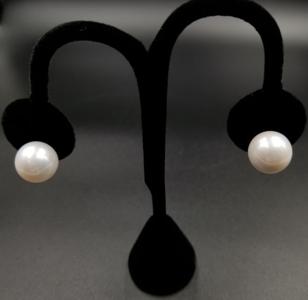 12-13mm Round Clean High Luster South Sea Pearl Stud Earrings in 14kt White Gold