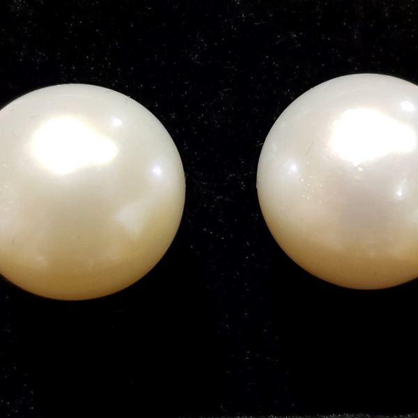 Very Rare Large 15.5-16mm White, Round and Clean South Sea Pearl Earrings in 14kt White Gold